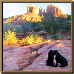 Lodge at Sedona welcomes dog lovers