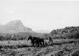 Roe Smith mowing on George Black Ranch (now Doodlebug area)